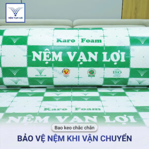 Nệm Karo Foam