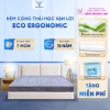 eco ergonomic