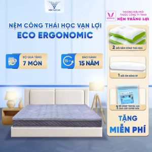 Nệm Foam Công Thái Học ECO ERGONOMIC Vạn Lợi – Nâng Đỡ Chuẩn Mực, Đánh Thức Năng Lượng