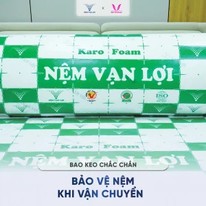 karo foam