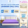 lavender chill chill