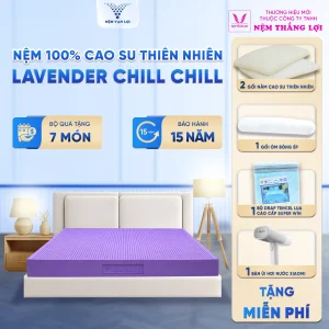 Nệm 100% Cao Su Thiên Nhiên Vạn Lợi LAVENDER CHILL CHILL – Giấc Ngủ Thư Giãn, Chữa Lành Mỗi Đêm