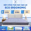 eco ergonomic