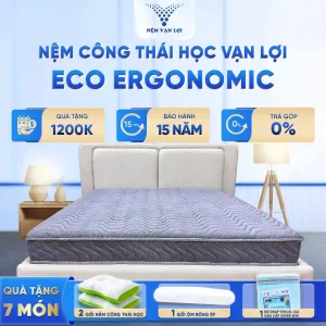 Nệm Foam Công Thái Học ECO ERGONOMIC Vạn Lợi – Nâng Đỡ Chuẩn Mực, Đánh Thức Năng Lượng