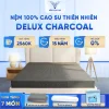 delux charcoaL