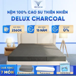 delux charcoaL