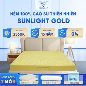 Nệm 100% Cao Su Thiên Nhiên SUNLIGHT GOLD – Nâng Tầm Sức Khỏe Gia Đình
